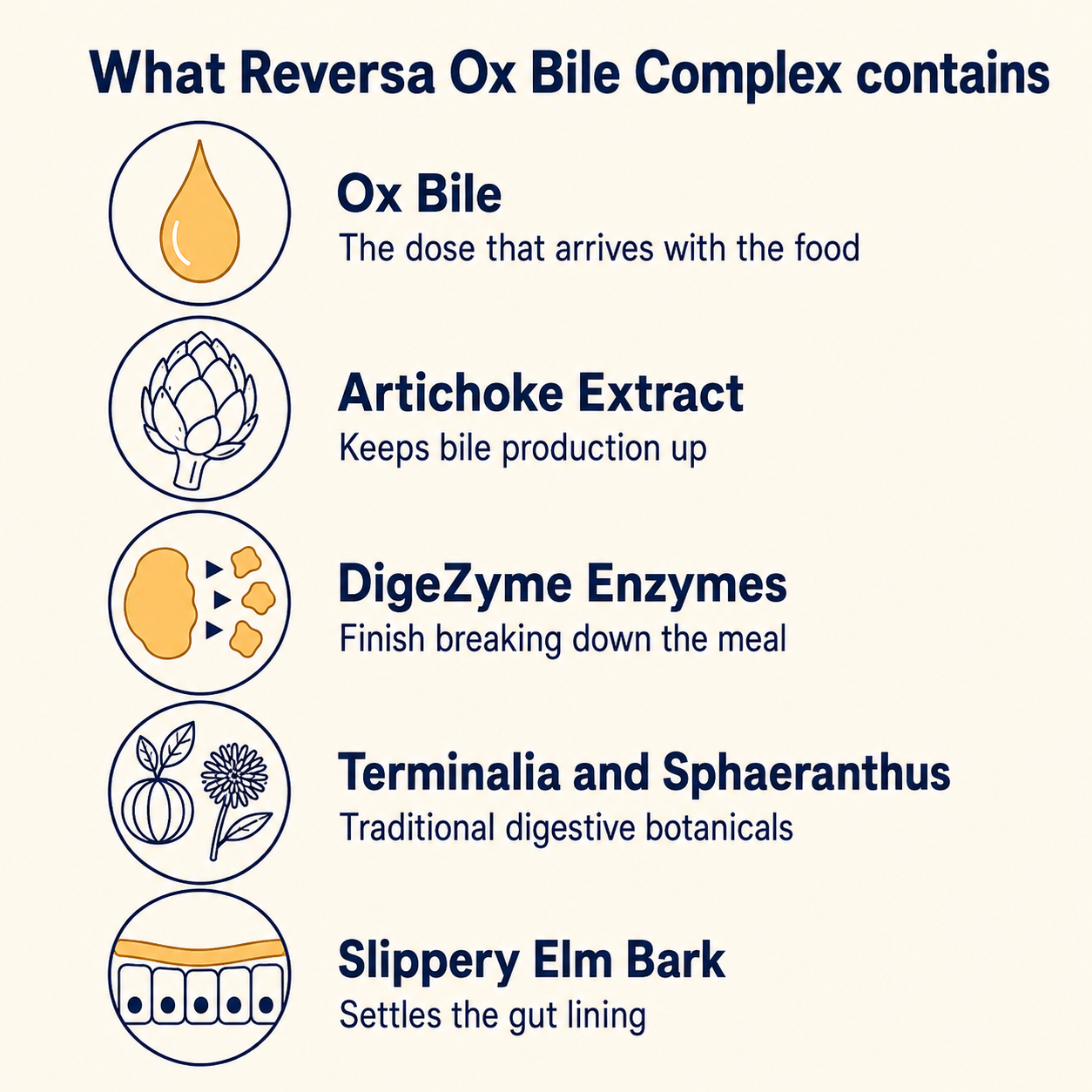 Ox Bile Complex - By Reversa