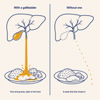 Ox Bile Complex - By Reversa